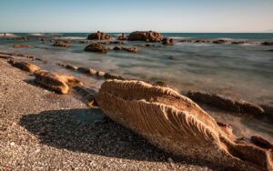 [101] La Huella del Mar ROSEMARY ARJONA GODINO