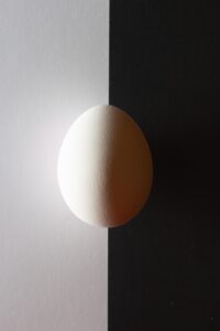 [104] Yin Yang Jose Maria Donoso Blanco