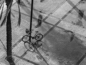 [105] Sombra M Mercedes Soánez Contreras