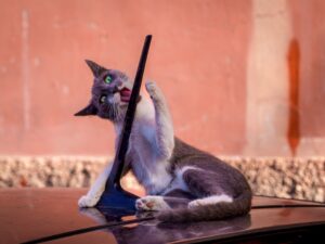 [106] Jugando José Antonio Gómez Mateo