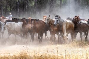 [117] Dejando Huella María del Mar Ortega Jiménez