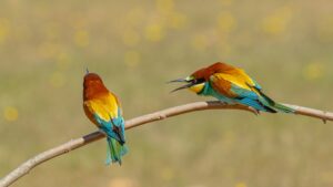 [012] Te riño MARIA DOLORES GONZALEZ DELGADO