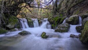 [129] Majaceite NICOLÁS Díaz Luengo