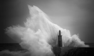 [013] Furiastur Pablo Fernández García