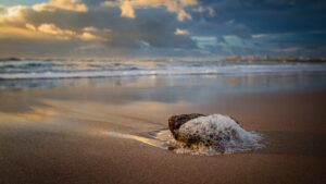 [134] Espuma en la piedra Nati Parra Alonso