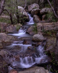[135] Carrizales Isabel Rondón Caballero