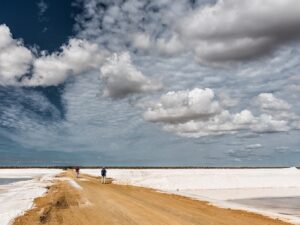 [140] Salina Carmelo Pariza