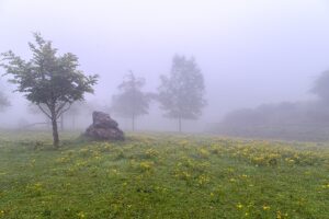 [144] LA NIEBLA MANUEL JESUS NAVARRO OLMEDO