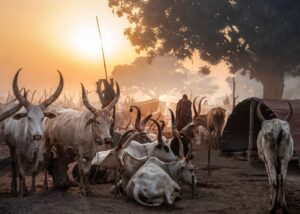 [015] Campamento Mundari Fernando Morales Clavijo