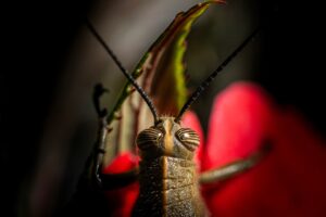 [168] Luz puntual Juan Baena Martinez