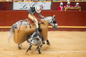 [172] Fuerza LUIS CHAPARRO AMAYA