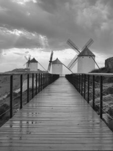 [180] Camino entre gigantes Manuel Valenzuela Romero