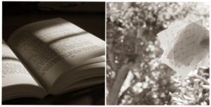 [188] Palabras Ana Maria López Pérez