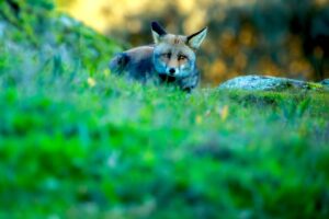 [194] Miradas Ana María Blanco Gómez