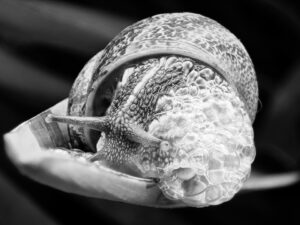 [207] SALIR DE CASA ANTONIO YUSTE REDONDO