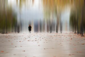 [210] Fugaz Otoño Julián Romero Pareja