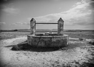 [214] Abrevadero de Conil Miguel Fernandez Romero