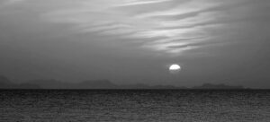 [219] Untitled Manuel Orta Peral