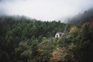 [223] Refugio en el bosque Anya Friedrich