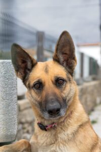 [225] color maria jose almagro