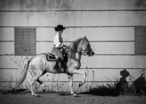 [233] Doma de caballo andaluz María Gracia Fernández García