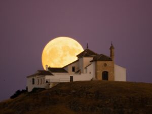 [244] En lo alto de la colina Manuela Luque Berrocal