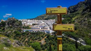 [249] Hacia dónde ir Antonio Siller Cano