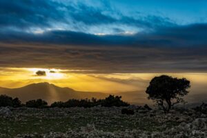 [252] Mágina Miguel Angel Lorente Villacañas