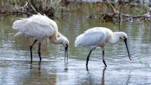[267] hora del aperitivo José María Cabello Escudero