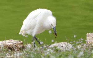 [283] Presa abatida Miguel Angel Rodriguez Utrera