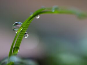 [285] Rocio José Julián García Sánchez