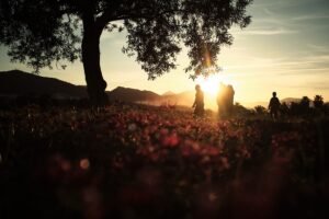 [290] Paseo por Los Llanos Francisco Manuel Aguilar Postigo