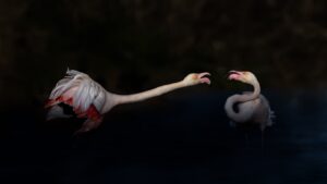 [300] Mírame Martín Gea Jimeno