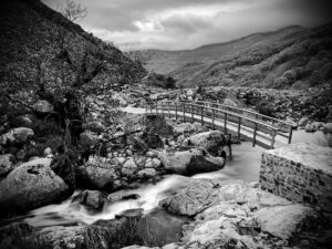 [307] El puente Eugenio López