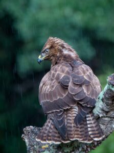 [309] Aguantando el temporal Eduardo Vilches Benitez