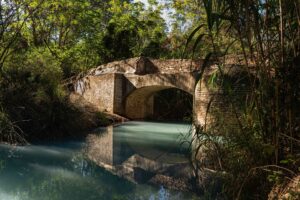 [312] Calma Fernando Zaragoza García