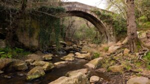 [313] Rio de la Miel JULIO DELGADO PEREZ