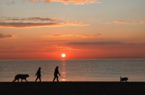 [320] Paseo al amanecer Catalina Soto Díaz