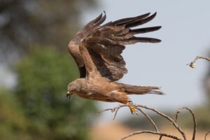 [321] Untitled José María Luna Martínez