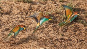 [324] En vuelo José Manuel Mayorga Fabián