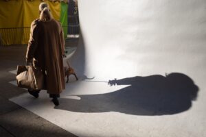 [331] con can Gonzalo Pacheco Gras