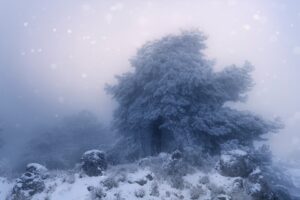 [035] De cuando nevaba LUCIA GAMEZ CAÑAS