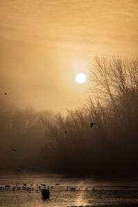 [351] Edgbaston Rafael Alcalá Soldado