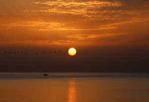 [353] amanecer2025 Reyad Ejjaberi Yettefti