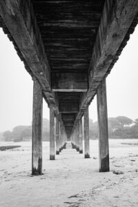 [354] Corriente Mónica Aguilar Casanueva