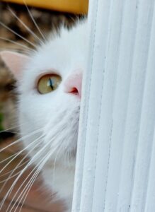 [359] Te veo!!!!! Beatriz Gorospe Ilzarbe