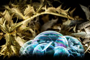 [373] fragilidad Mario Navas carneros