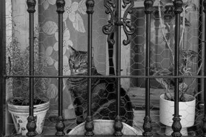 [382] Miradas Francisco Jesús Diaz Cortés