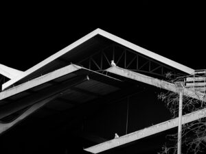 [385] Nidos de metal Miguel Rosa