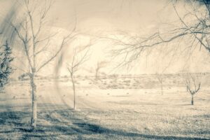 [402] Sueño Florencio Fernández Parra